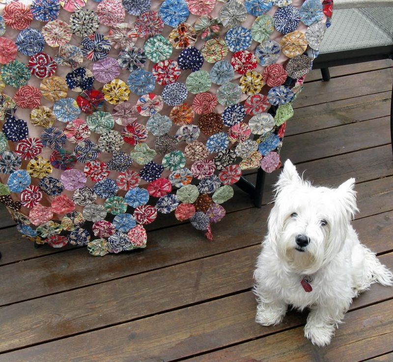 2010 06 14_2617 2010 06 14_2617