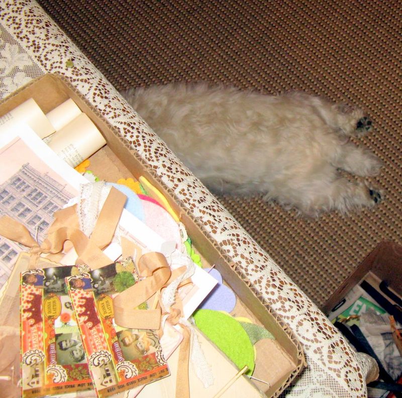 2010 06 13_2711 2010 06 13_2711