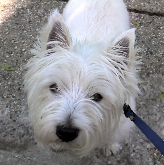 Photo_061308_004 Photo_061308_004