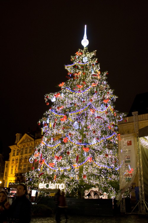 Tree Prague